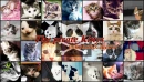 pirate kittens!