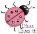 Pink Lady Bug - Diane