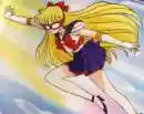 Sailor V-!