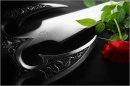 SWORD