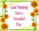 Good Morning