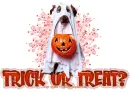 Trick or Treat?