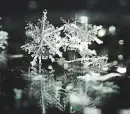 snowflakes