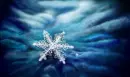 snowflakes