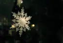 snowflakes