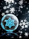snowflakes