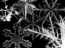 snowflakes
