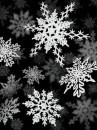 snowflakes