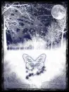 winter night