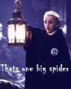 Draco Malfoy