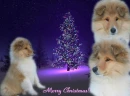 CHRISTMAS