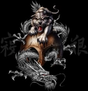 Dragon & Tiger