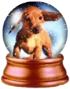 bola de nieve con perros