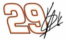 29 logo
