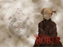 witch hunter robin