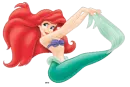 Fins!