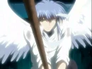 Angel's feather