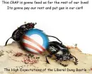 bettles dung