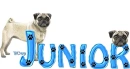 Junior requested for Maggie