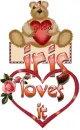 Iris loves it