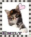 Cute Kitty