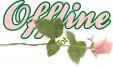 Offline rose
