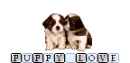 Puppy Love