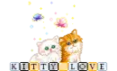 Kitty Love