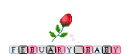 Febuary Baby