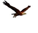 Ã¡guila