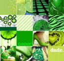 Lime Green Collage