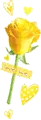 Yellow Flower