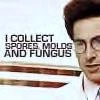 Spores, Molds & Fungus