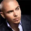 pitbull avatar