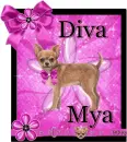 Diva Mya for Stephanie