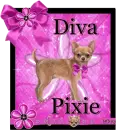 Diva Pixie for Stephanie