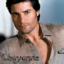 chayanne zebra