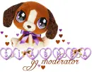 Siabhra ... Cute pet