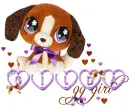 Gilda ... Cute pet