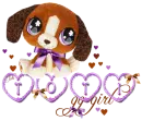 Toti ... Cute pet