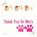 Thank You So Much!