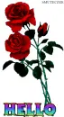 hello :)