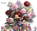 Hi Friend