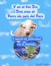 Dios creo al perro peruano