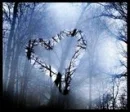 Love is beautiful