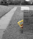 Spongebob Squarepants