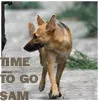 I am legend time to go