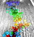 stars :]