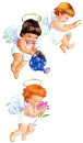 Angel babies