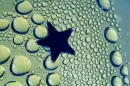 rain star